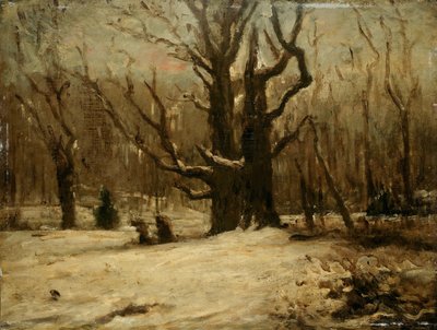 Paesaggio invernale da Gustave Courbet